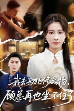 我去西北修文物，顾总再也坐不住了