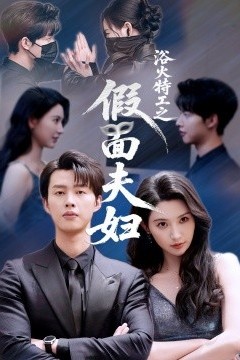 浴火特工之假面夫妇