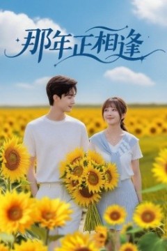 那年正相逢