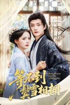 等不到鬓雪相拥