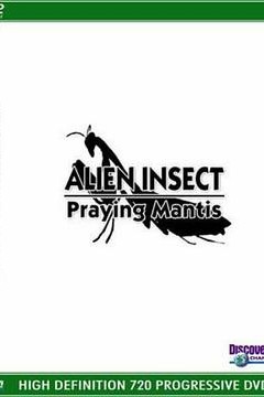 异形昆虫：螳螂