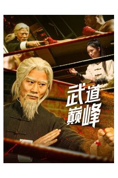 武道巅峰