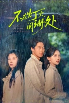 不在灯火阑珊处短剧