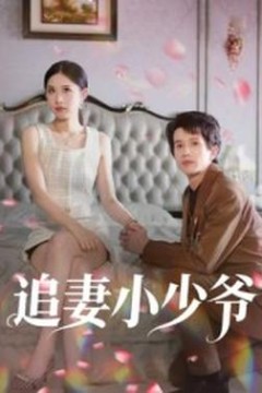 追妻小少爷