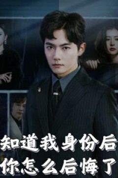 知道我身份后你怎么后悔了
