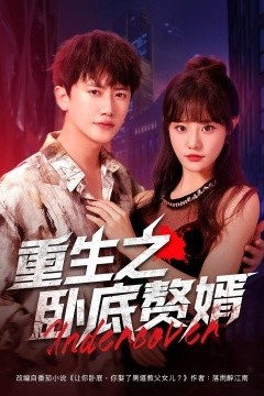重生之卧底赘婿