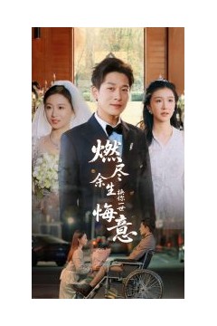 燃尽余生换你一世悔意