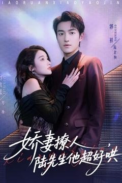 娇妻撩人，陆先生他超好哄