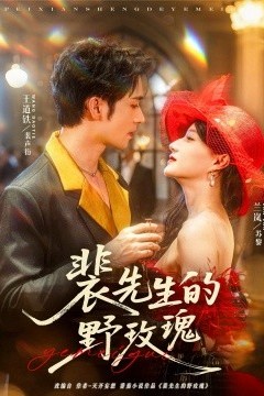 裴先生的野玫瑰