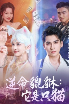 逆命貔貅它是只猫