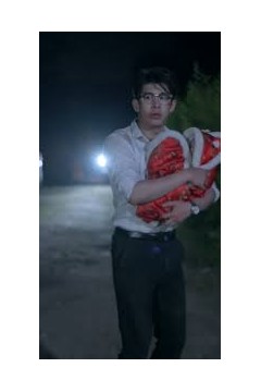 小孤女竟是江家真千金