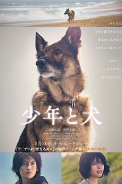 少年与犬