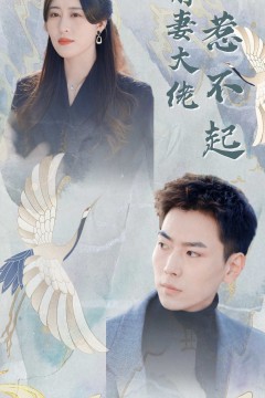 前妻大佬惹不起