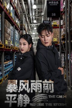 暴风雨前的平静