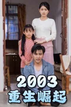 重生崛起2003