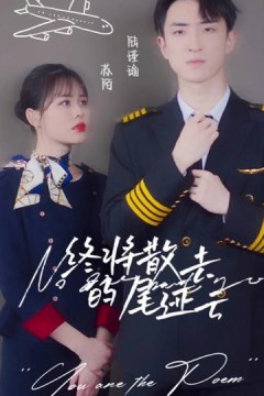 终将散去的尾迹云