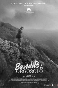 奥尔高索洛的强盗