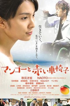 芒果和红色轮椅