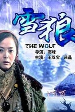 雪狼2006