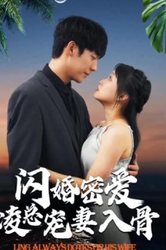 闪婚蜜爱凌总宠妻入骨闪婚老公轻点宠一不小心爱上你