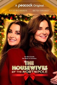 北极的家庭主妇