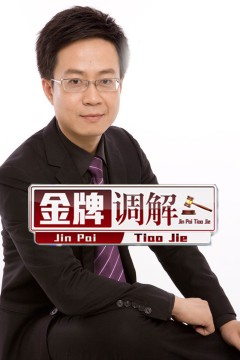 金牌调解2013