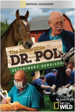 动物神医第三季