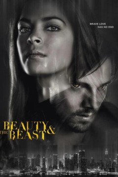 侠胆雄狮第四季