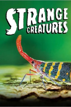 奇异生物第一季