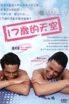 十七岁的天空2004