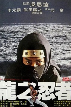 龙之忍者