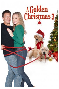金色的圣诞节3