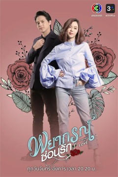 玫瑰奇缘恋与大明星2020