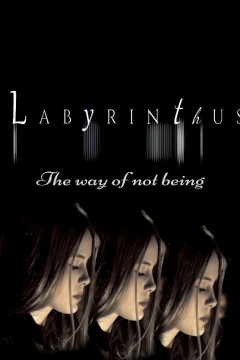 迷宫：不存在之道