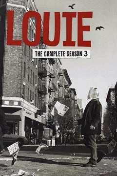 路易不容易第三季