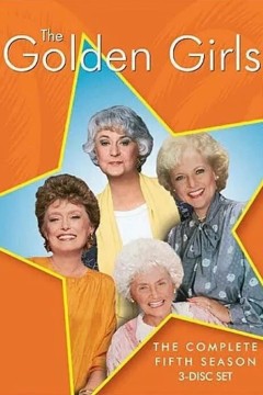 黄金女郎第五季