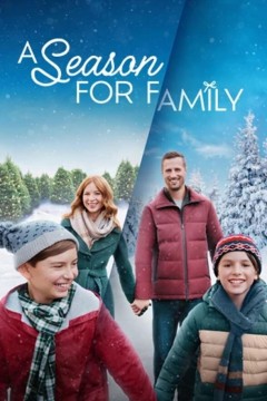 适合家庭的季节