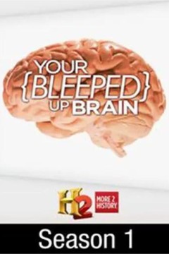 短路的大脑第一季