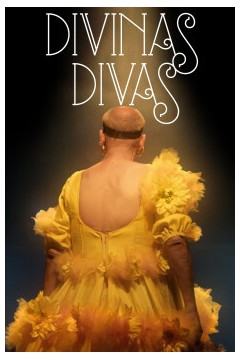 迪维纳斯·迪瓦斯