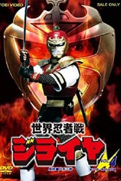 世界忍者战磁雷矢