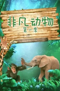 非凡动物第一季
