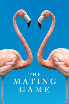 求偶游戏第一季