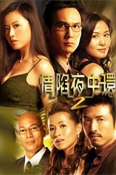 情陷夜中环2国语