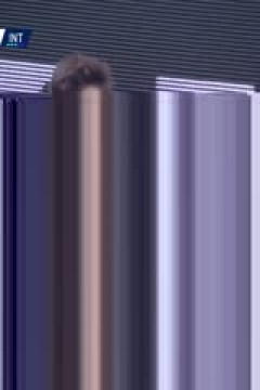 意甲联赛 尤文图斯VS国际米兰 20250217