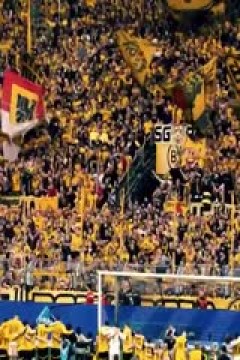 英超联赛 西汉姆联VS曼联 20241027