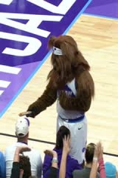 NBA常规赛 公牛VS爵士 20251117