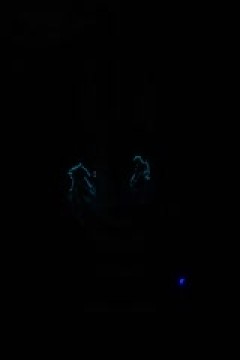 NBA杯 鹈鹕VS独行侠 20241120