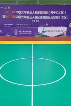 中国大学生五人制足球联赛  武汉大学vs湖南工商大学 20231101