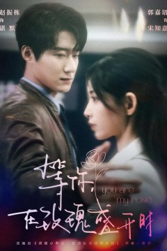 等你在玫瑰盛开时