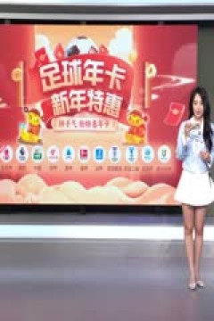 英超联赛 莱斯特城VS阿森纳 20250215